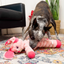 KONG Shakers Crumples Bunny | XL Soft Dog Toy
