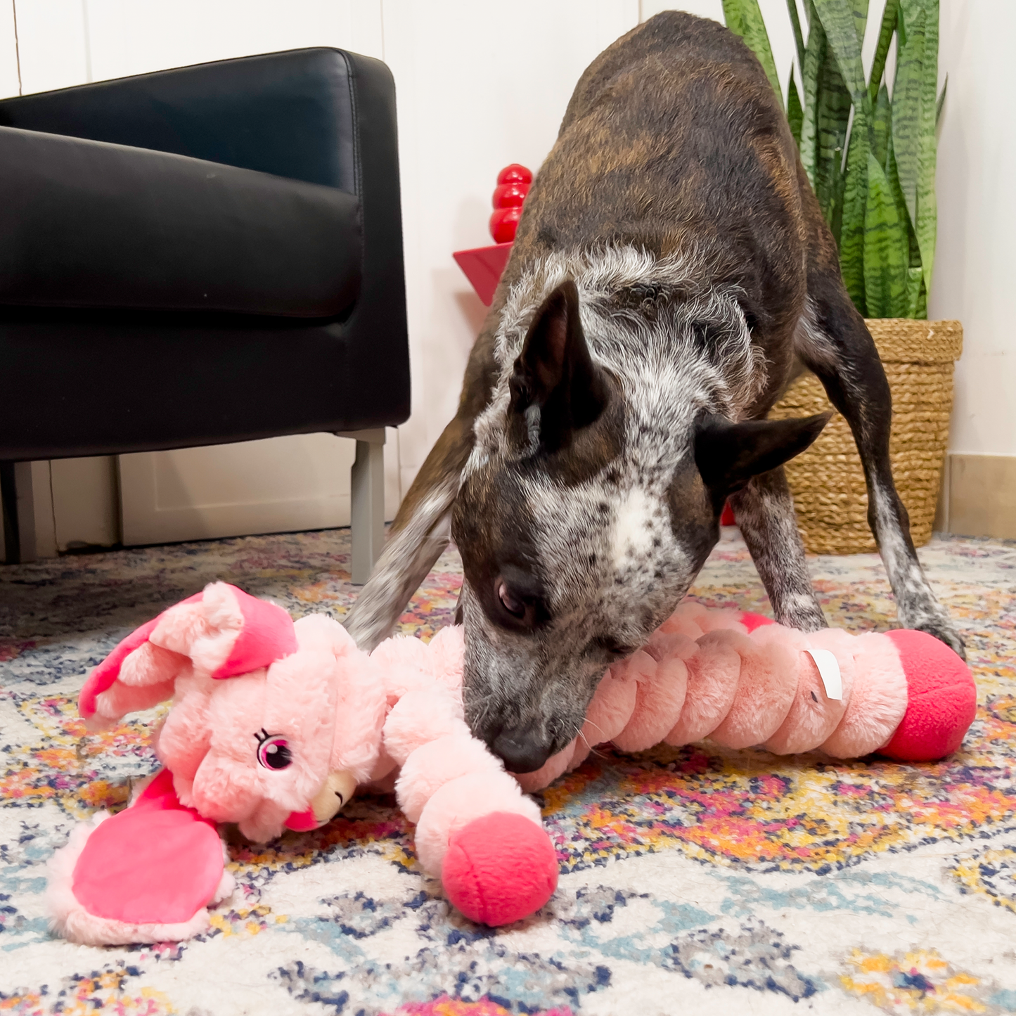 KONG Shakers Crumples Bunny | XL Soft Dog Toy