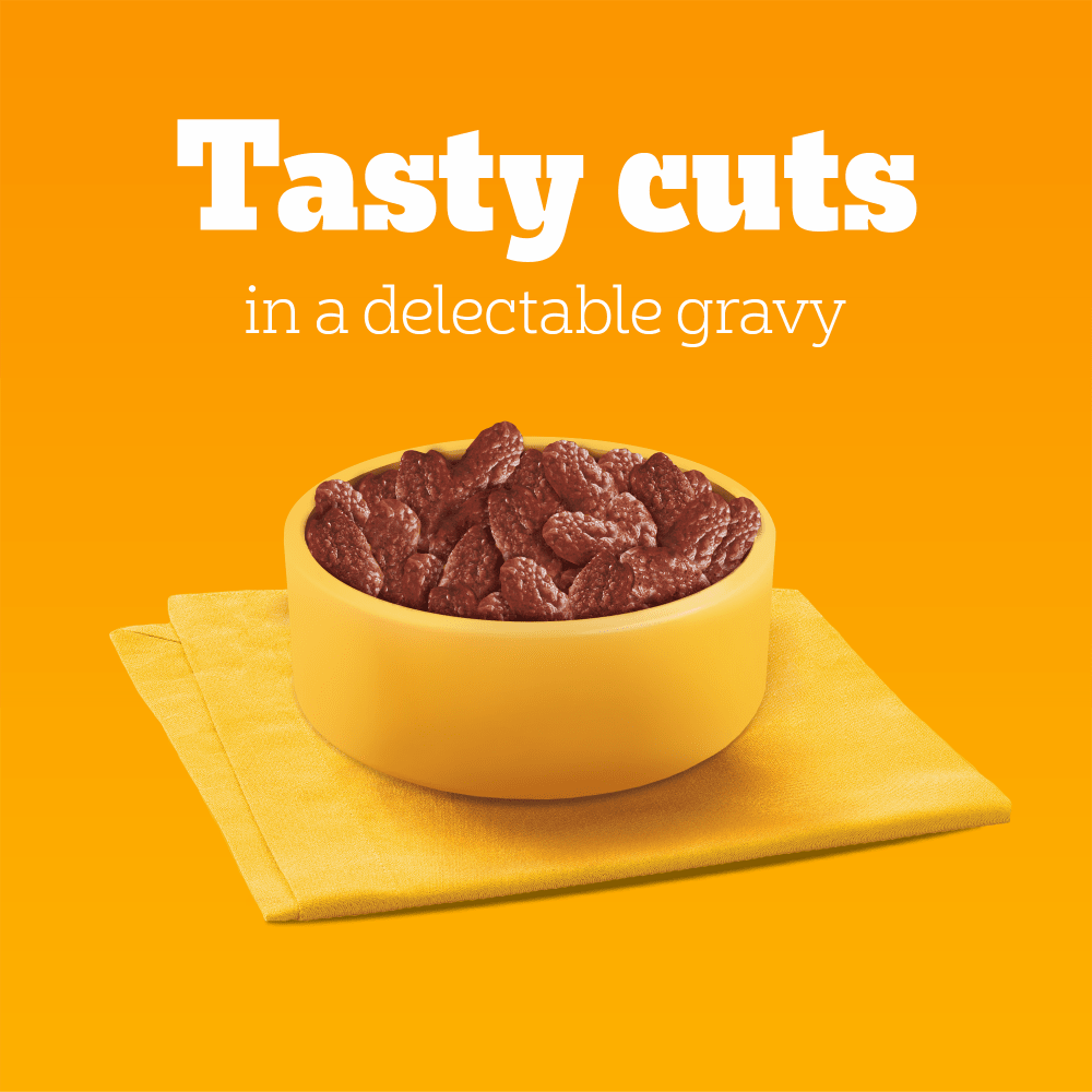 Pedigree Mixed Selection In Gravy Wet Dog Food Pouches 40 x 100g
