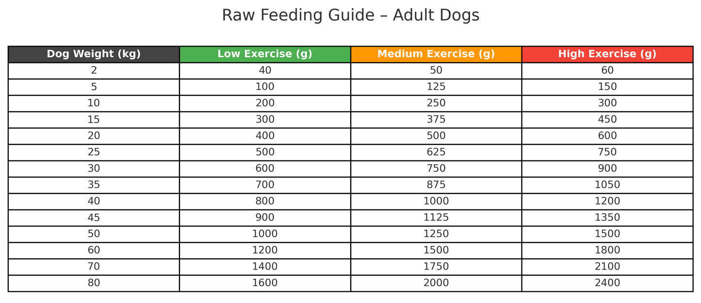 Raw feeding guide for adult dogs with weight and exercise level categories.