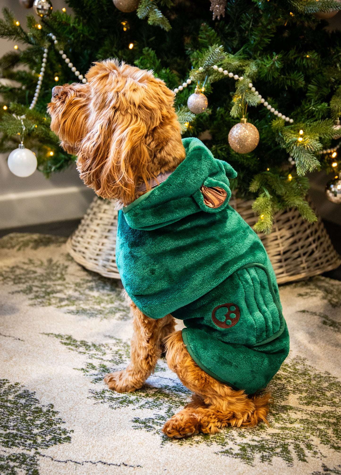 Dog green teddy bear drying robe towel