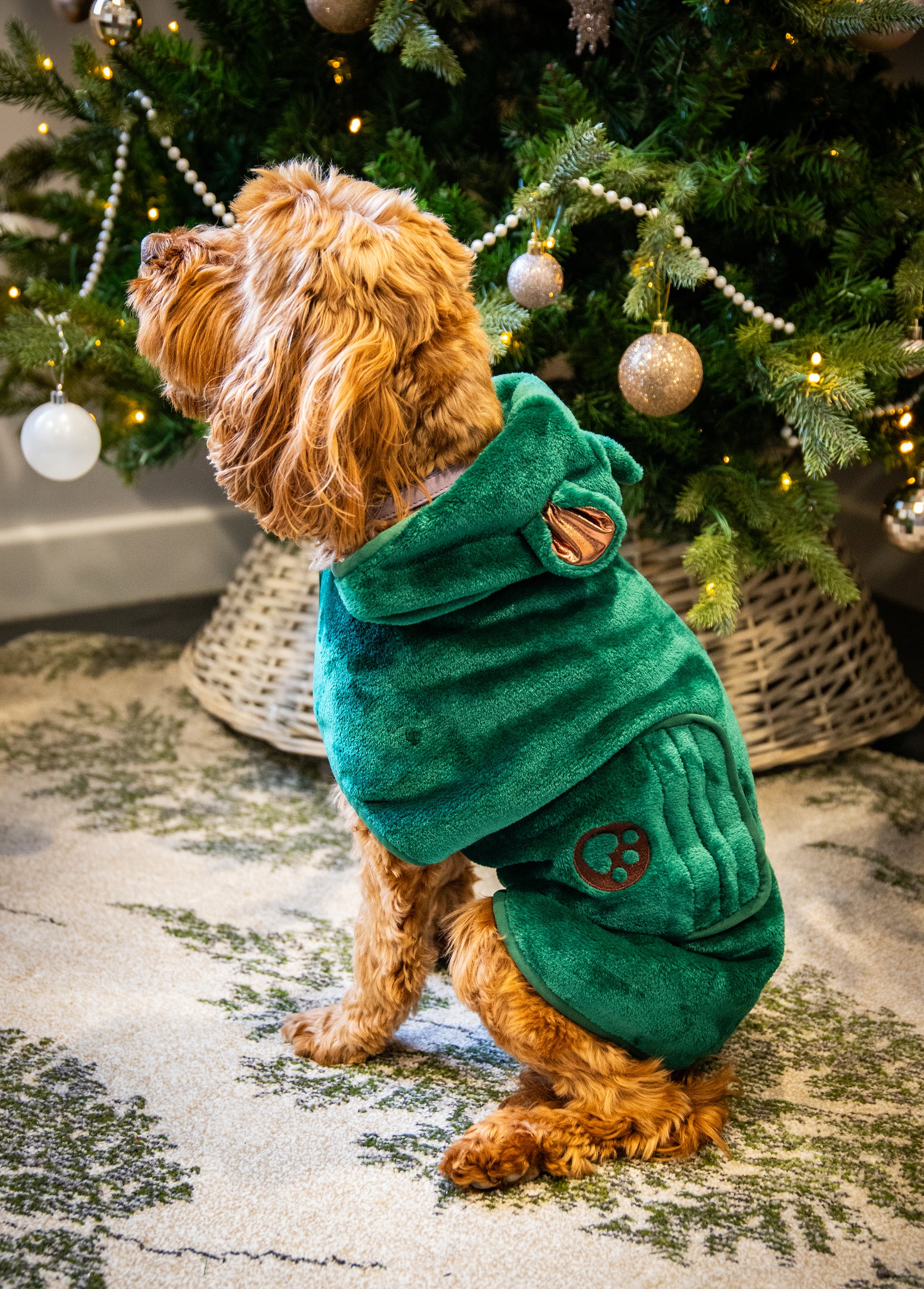 Dog green teddy bear drying robe towel