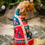 Rosewood Candy Cane Christmas Gift Box | Dog Festive Jumper & Soft Toy Pack
