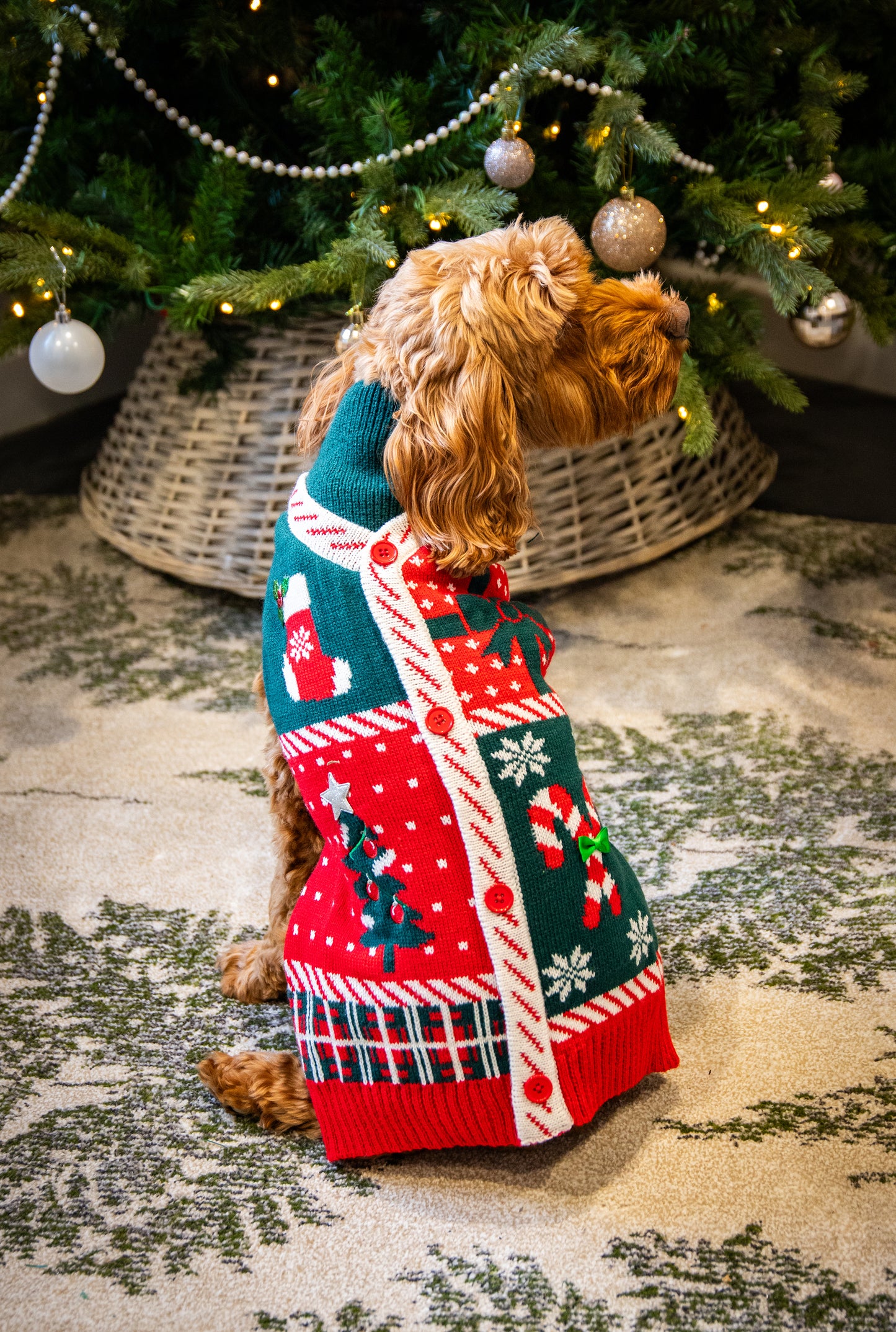 Rosewood Candy Cane Christmas Gift Box | Dog Festive Jumper & Soft Toy Pack