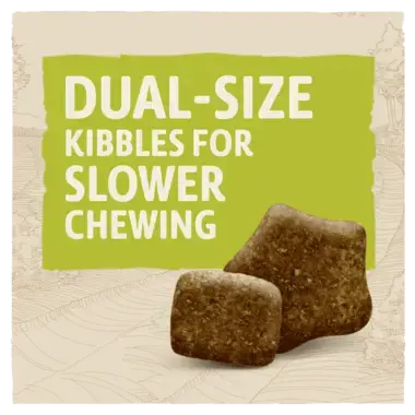 Beta Adult Turkey & Lamb 🦃🐑 Dry Dog Food