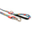 Max & Molly | Dog Lead | Little Monster