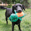 KONG Whoopz Gator | Soft Dog Toy