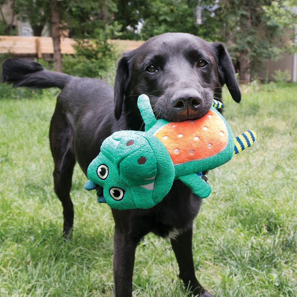 KONG Whoopz Gator | Soft Dog Toy