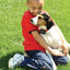 Petsafe Static Bark Control Collar | Automatic Dog Training