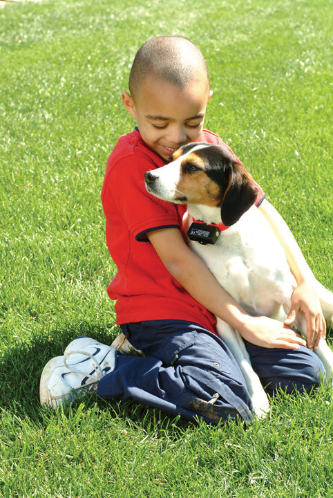 Petsafe Static Bark Control Collar | Automatic Dog Training