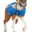 Chill Out | Dog Life Jacket for Safe Swimming