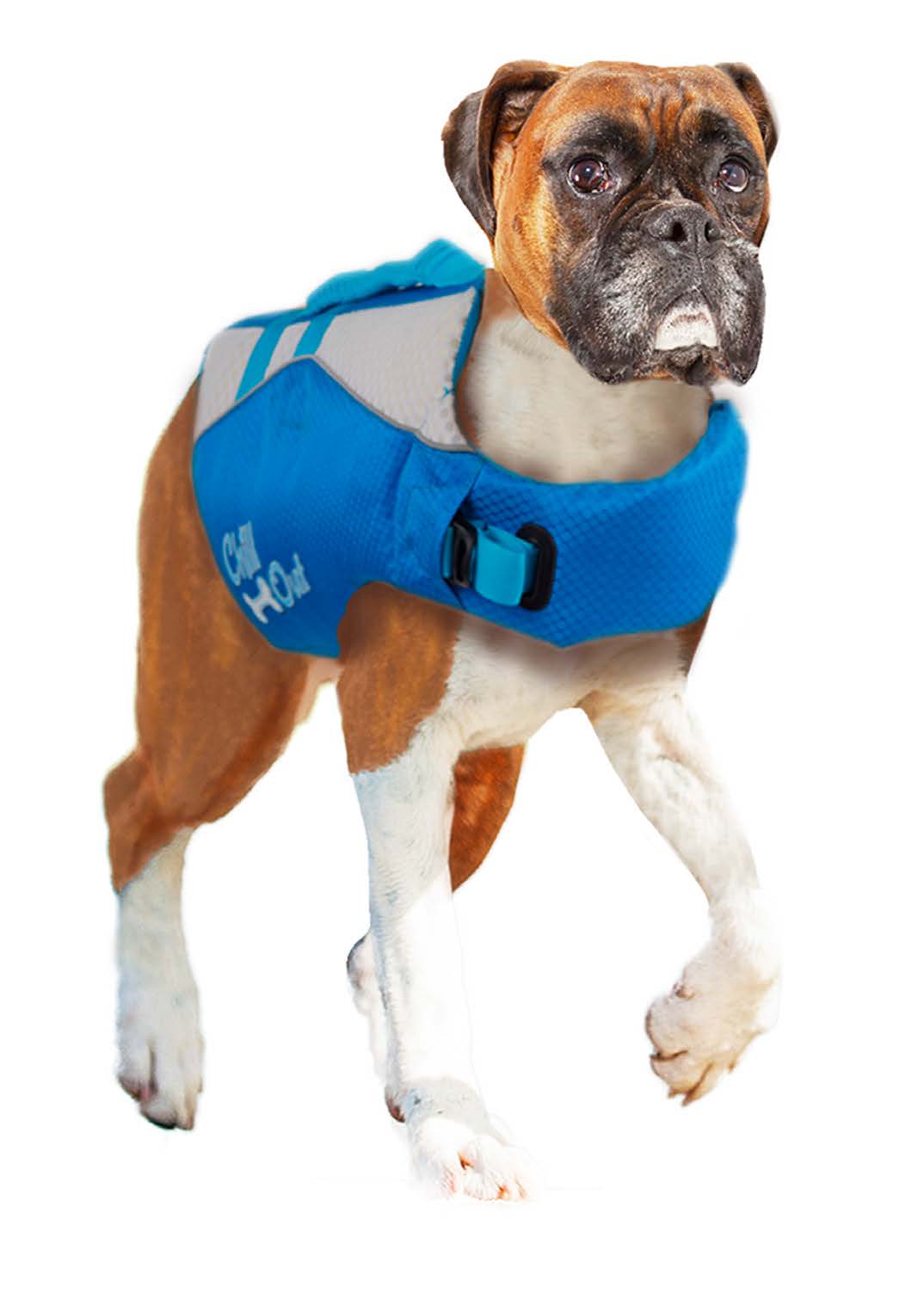 Chill Out | Dog Life Jacket for Safe Swimming