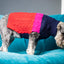 Sötnos Colour Block Sweater | Cosy Dog Jumper