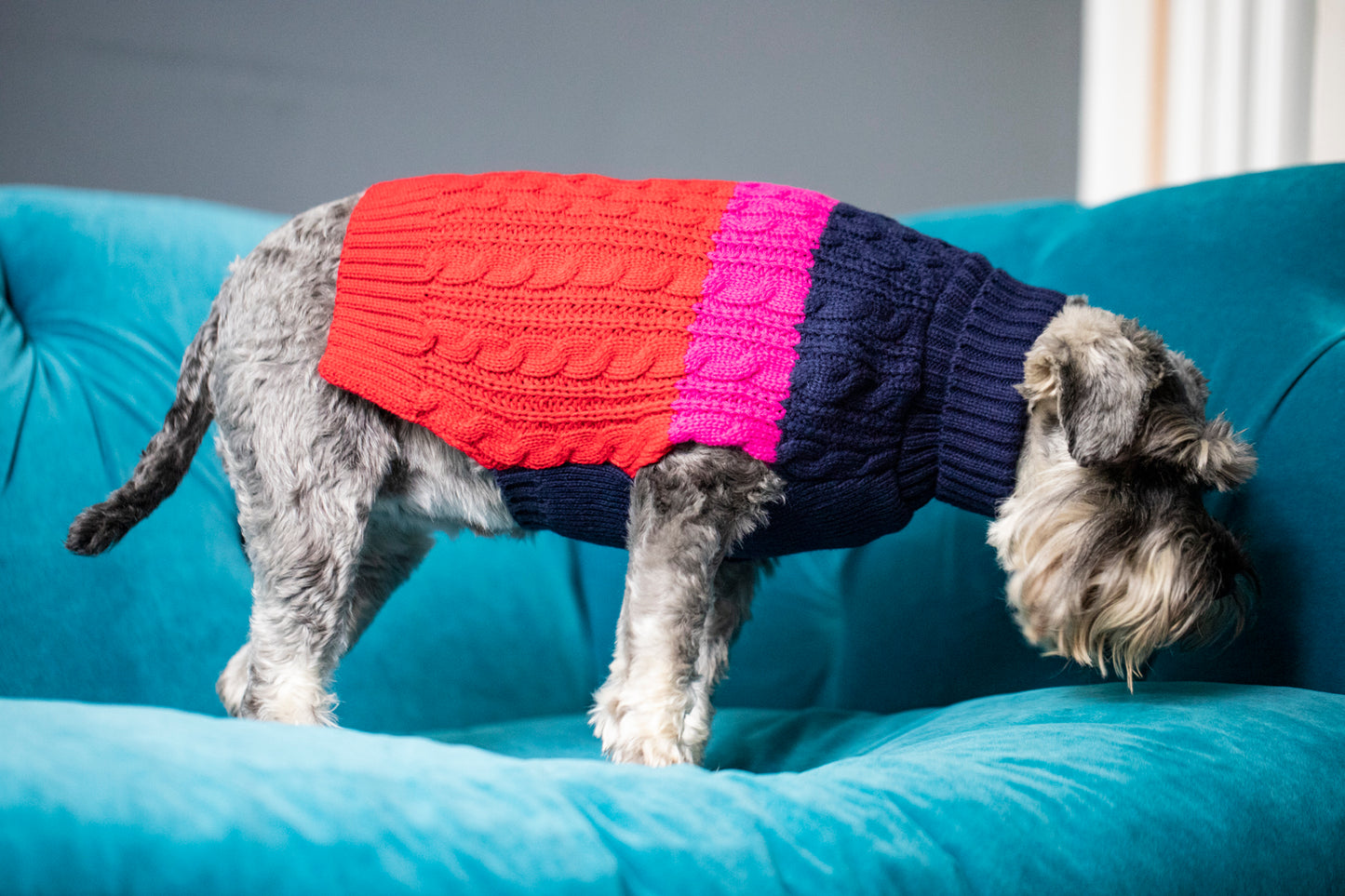 Sötnos Colour Block Sweater | Cosy Dog Jumper