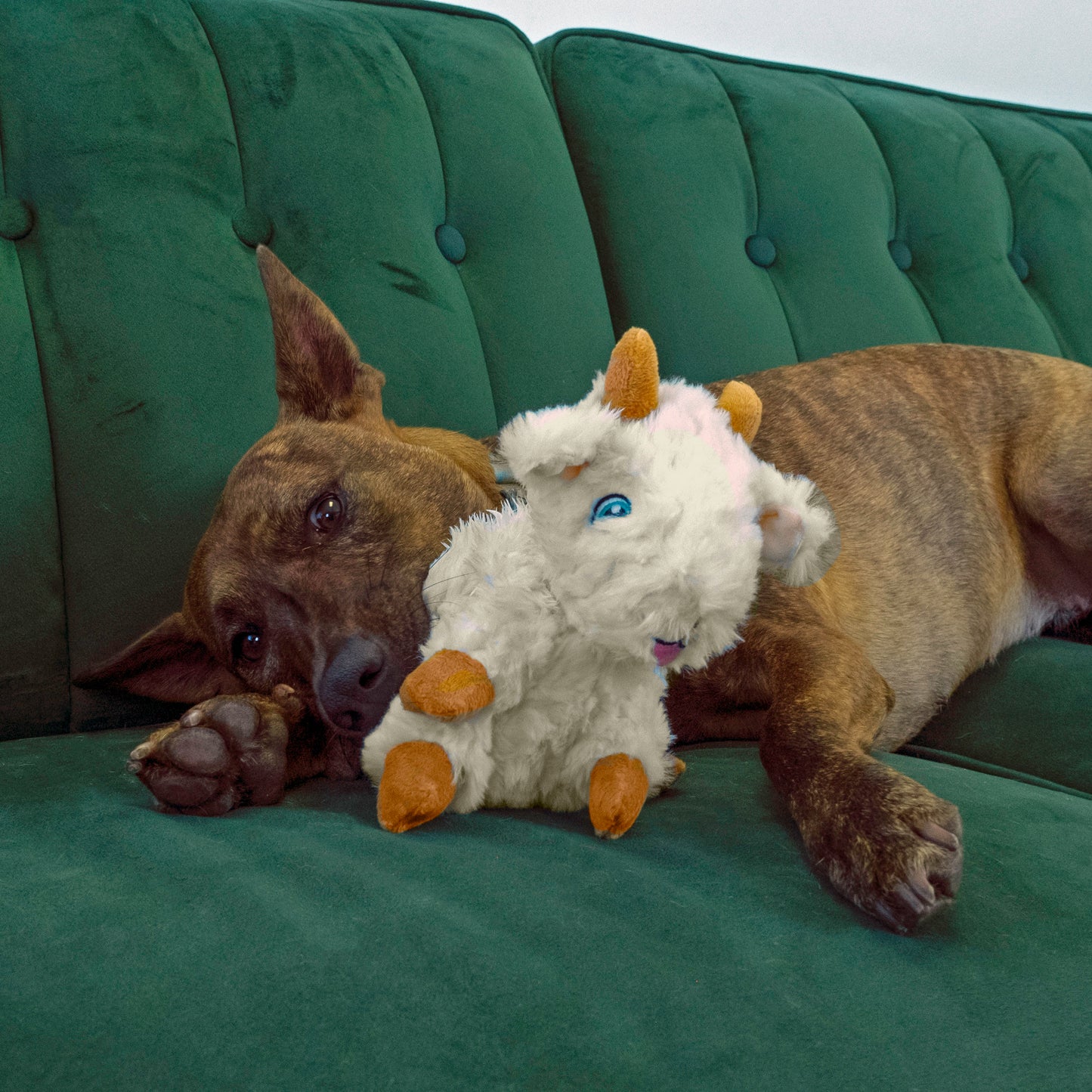 KONG Comfort Tykes Gosling, Cow & Goat Designs Available | Soft Toy for Small Dogs