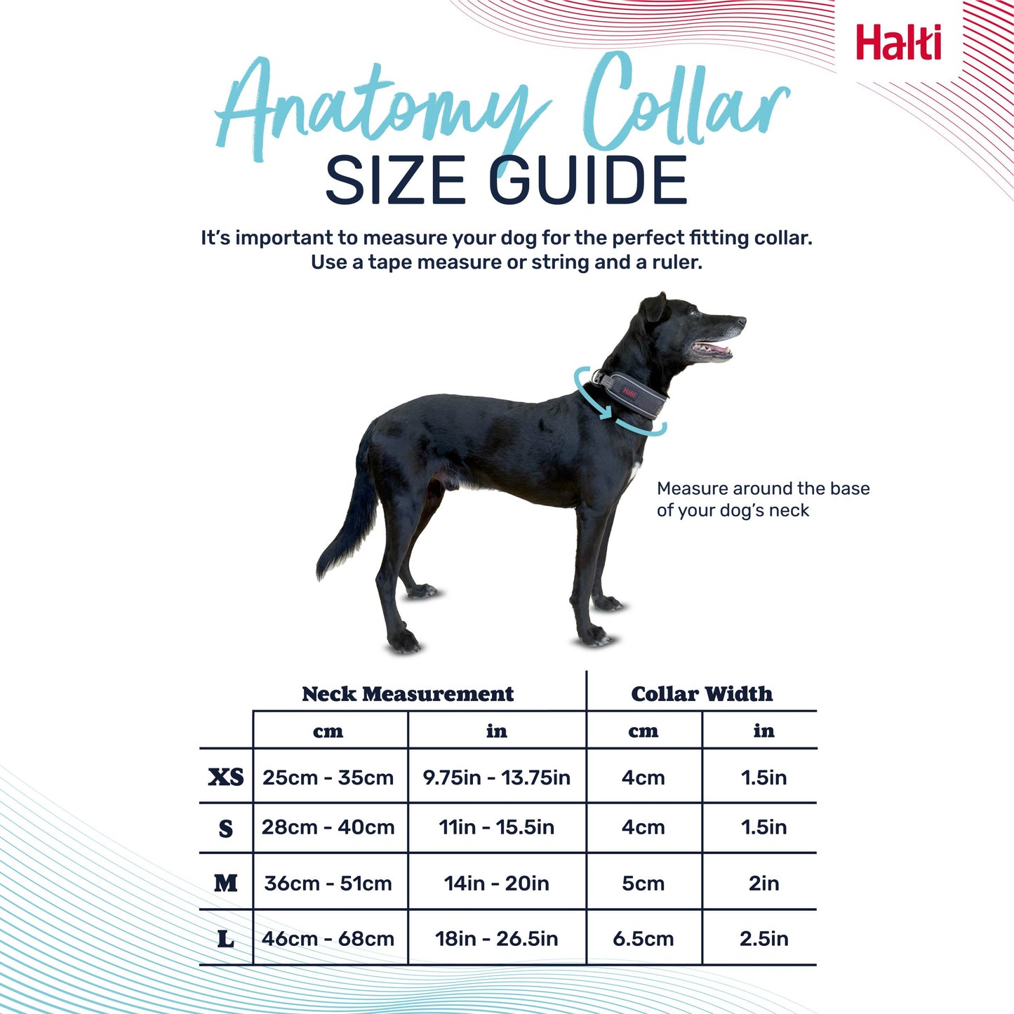 Halti Anatomy Collar - Green | Dog Walking & Training Comfort