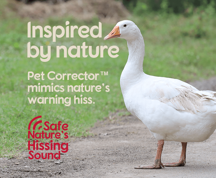 Pet Corrector | Dog Training | Behavioural Modification Spray