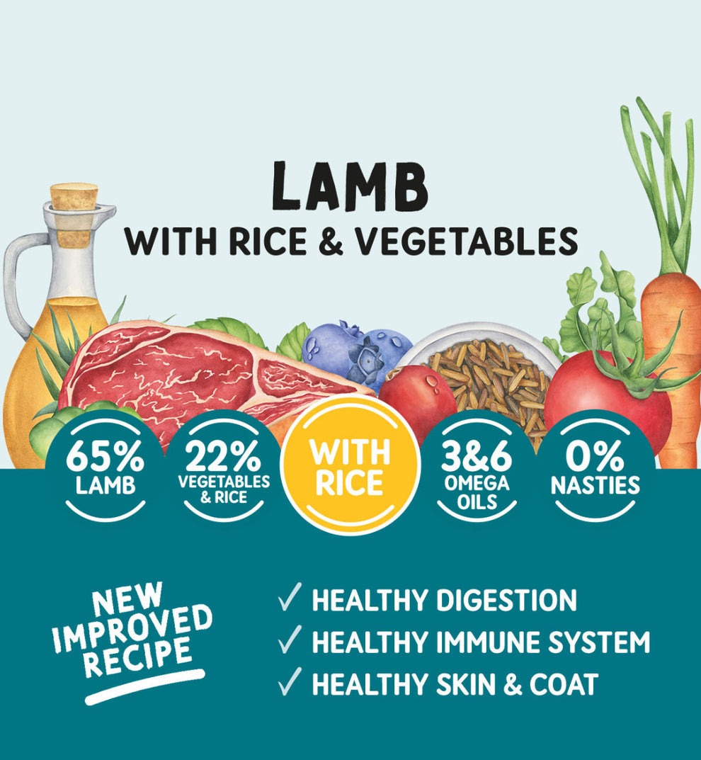 Naturo Lamb with Rice & Vegetables Gluten Free Wet Dog Food Tray 400g