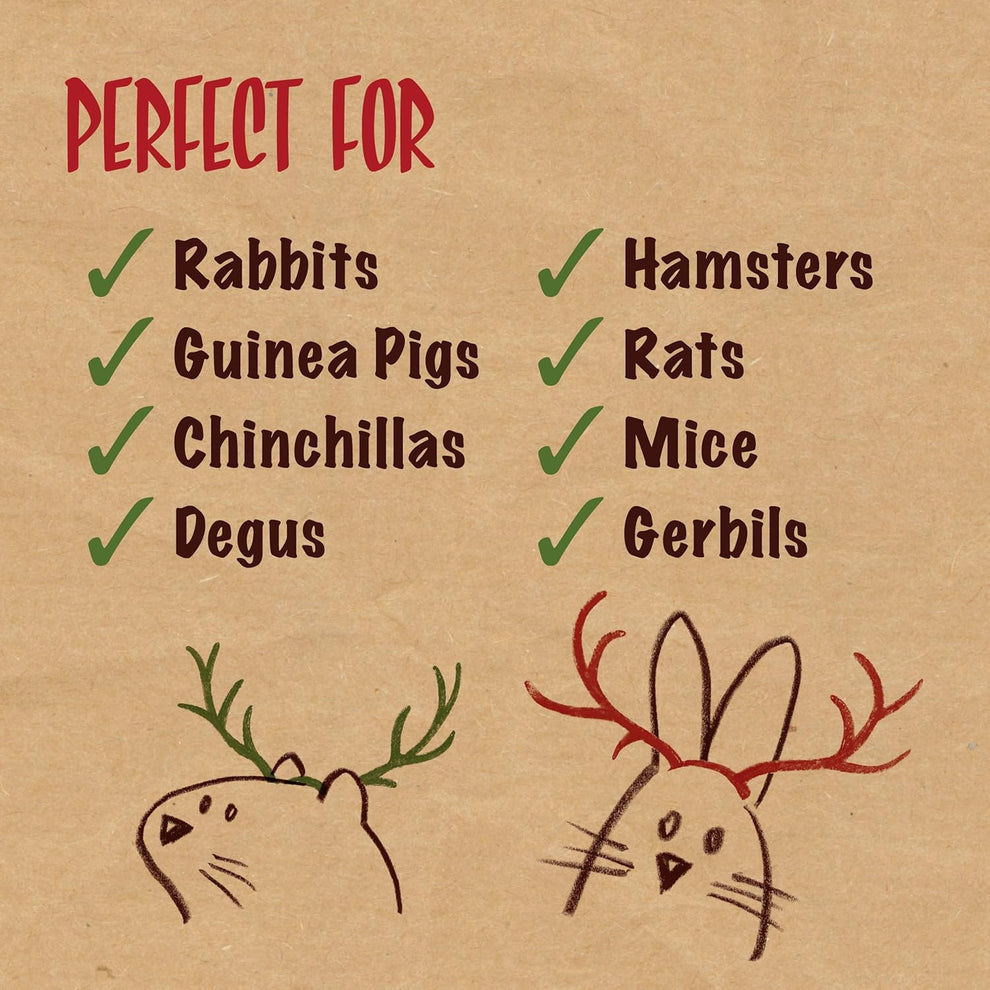 Rosewood Naturals Festive Cookies Forage Tray | Small Pet Christmas Treats