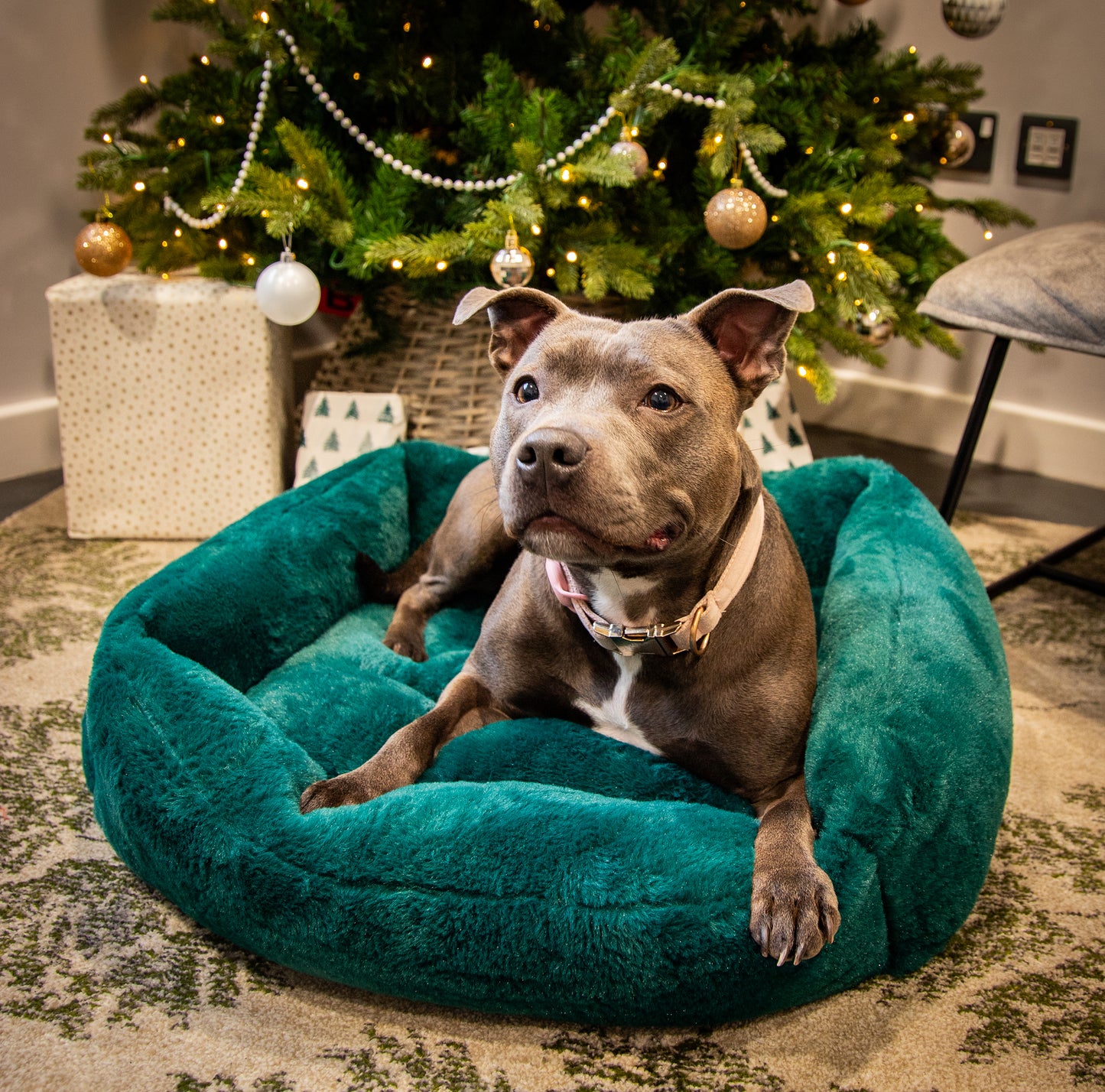 Rosewood Green Faux Fur Festive Pet Bed | Dog Christmas Gift