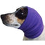 Happy Hoodie Purple 💜 Dog Grooming Ear Defender by Christies