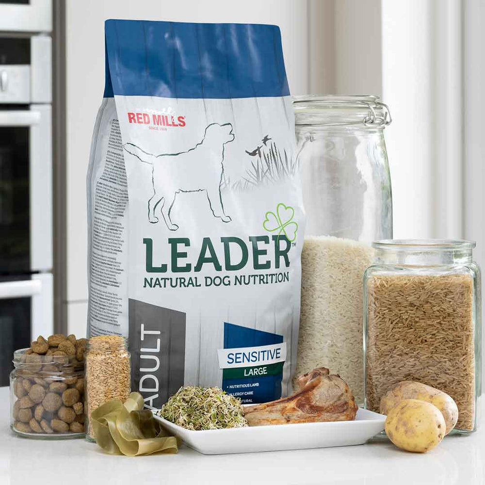 Red Mills Leader Large Breed Lamb Sensitive Dry Dog Food
