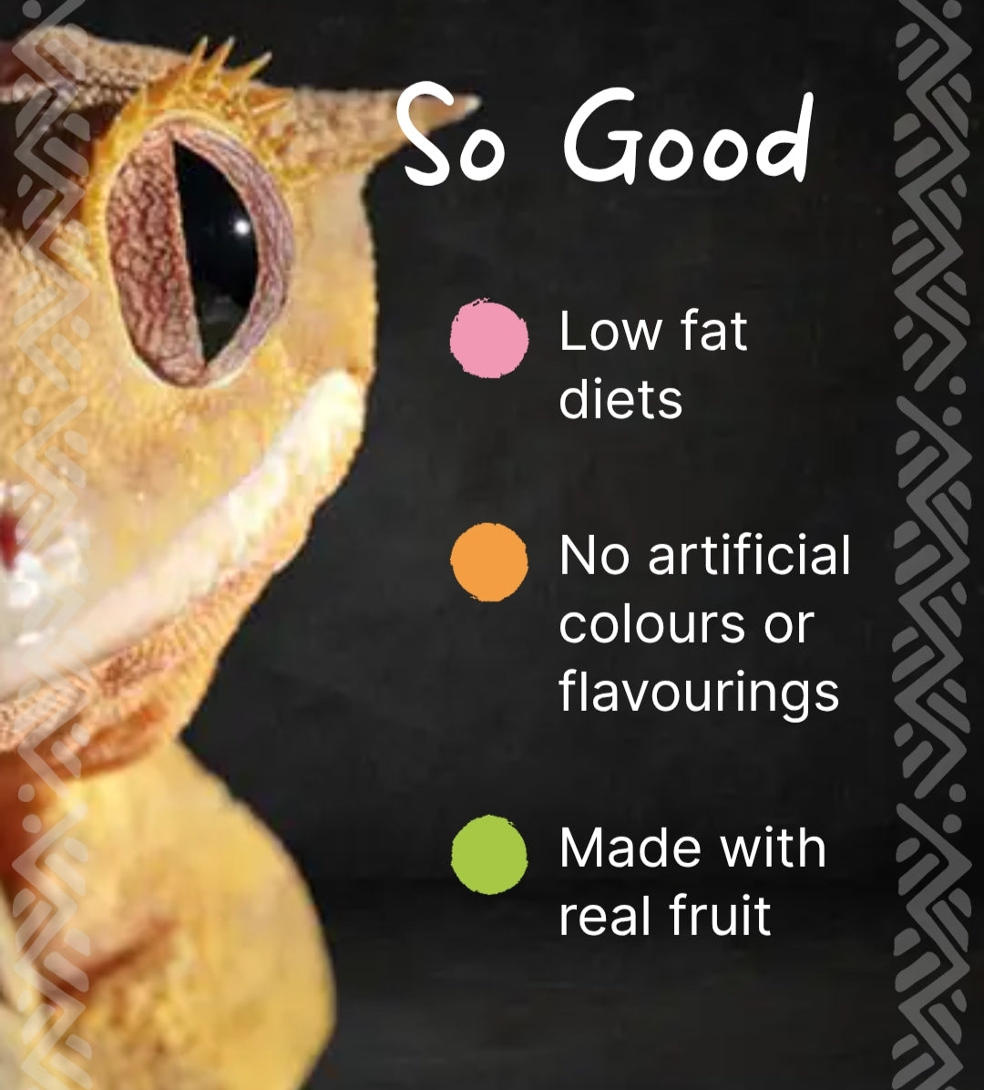Blue River Watermelon Burst Gecko Food | Complete Fruit Based Diet