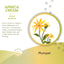 PhytoPet | Arnica Cream for Bruising & Muscle Injuries