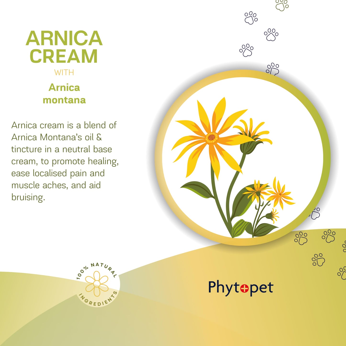 PhytoPet | Arnica Cream for Bruising & Muscle Injuries