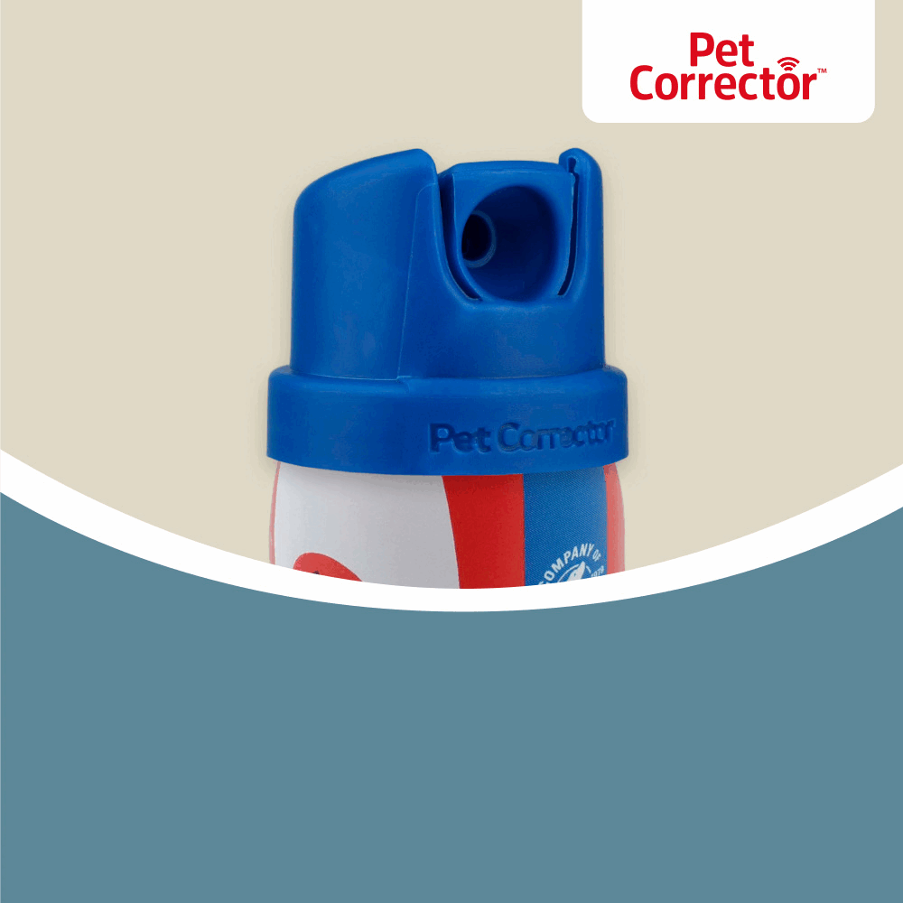 Pet Corrector Dog Training Spray Stop Barking Chewing Pet