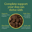 Barkt All in One Supplements for Dogs | Natural Remedy (was Vixen)