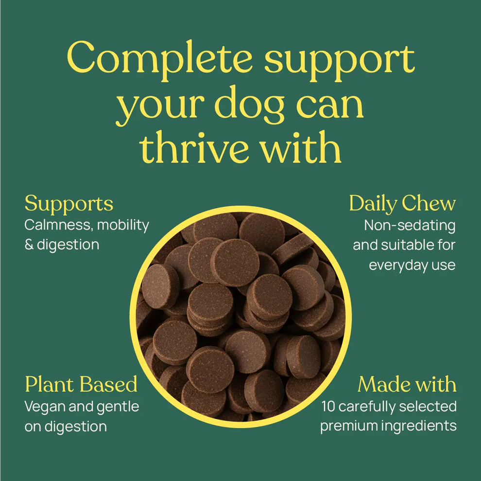 Barkt All in One Supplements for Dogs | Natural Remedy (was Vixen)