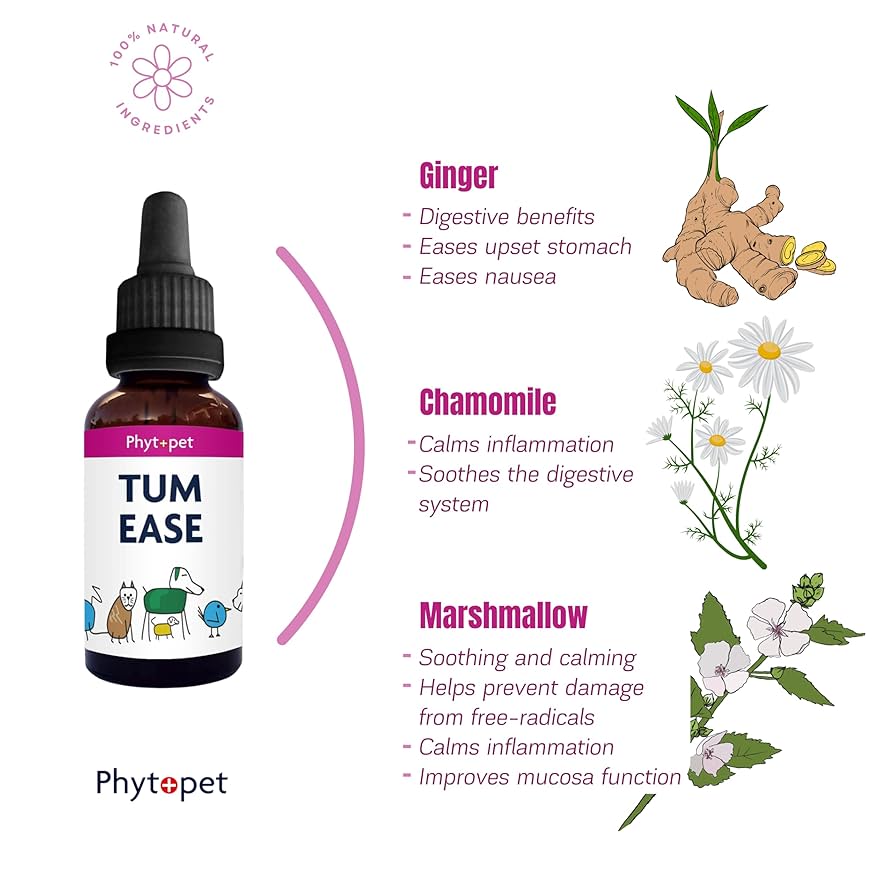 PhytoPet | Herbal Remedy | Tum Ease to Improve Digestion