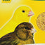 CeDe | Young Rearing Bird Food | Premium Canary Eggfood - 1kg