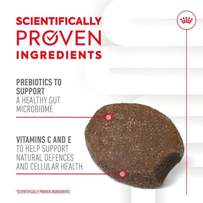 Royal Canin Immunity & Digestion Puppy Chews Functional Dog Treats - 100g