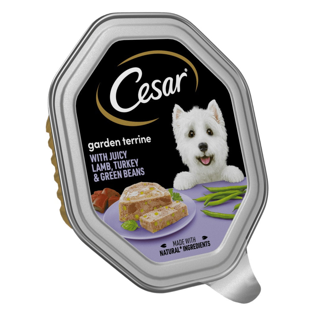Cesar Garden Terrine with Lamb, Turkey & Green Beans Wet Dog Food