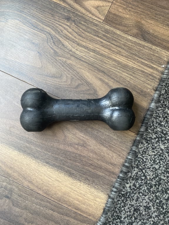 KONG Extreme Goodie Bone | Tough Dog Chew Toy