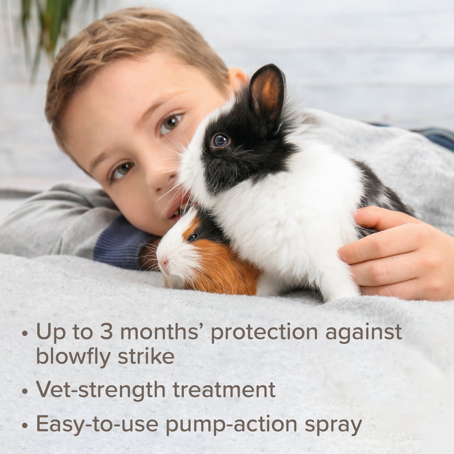Beaphar Ivermectin Fly Guard Spray - 75ml | Rabbit & Guinea Pig Health Care