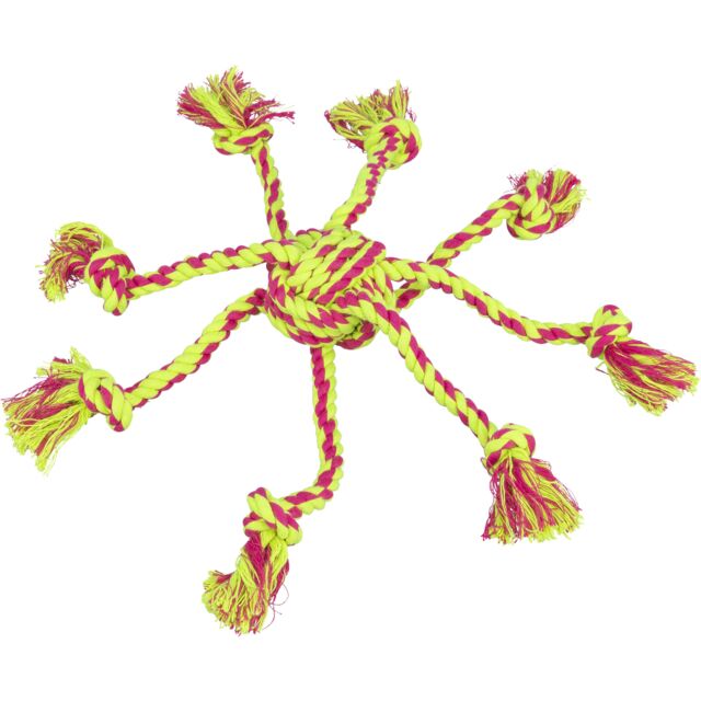 Dog toy with pink and green rope on a white background