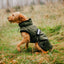 Danish Design 3-in-1 Dog Coat - Olive | Versatile All Weather Protection for Every Season