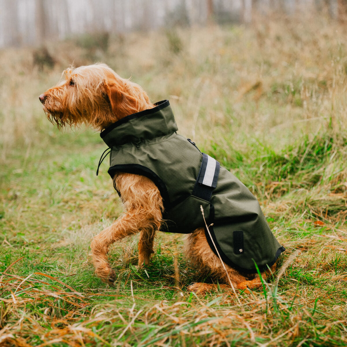 Danish Design 3-in-1 Dog Coat - Olive | Versatile All Weather Protection for Every Season