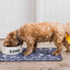 Dinner Mate Absorbent Food & Water Bowl Mat by Pet Rebellion