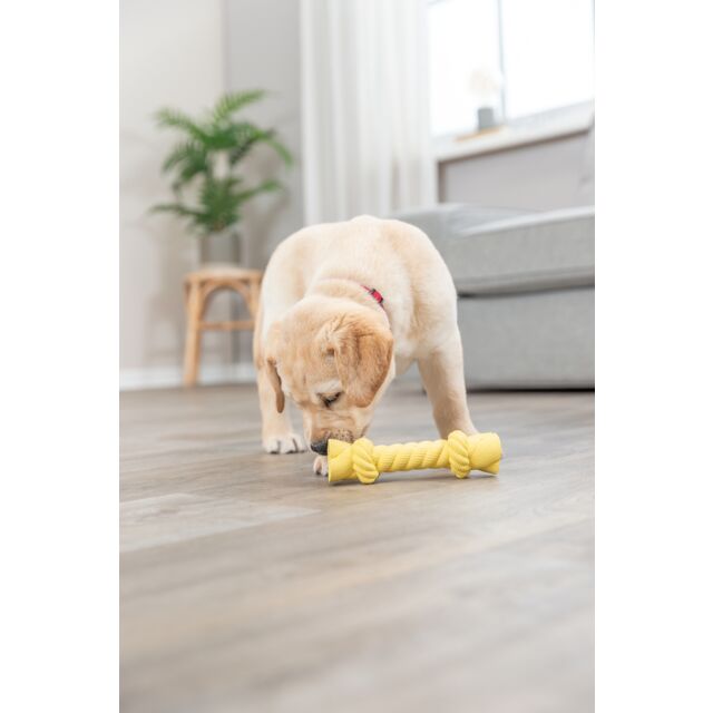 Trixie | Junior Rustling Rope | Latex Puppy Toy