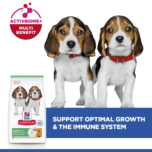 Hill's Science Plan Puppy Chicken 🐔 Medium Breed Dry Dog Food