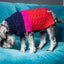Sötnos Colour Block Sweater | Cosy Dog Jumper