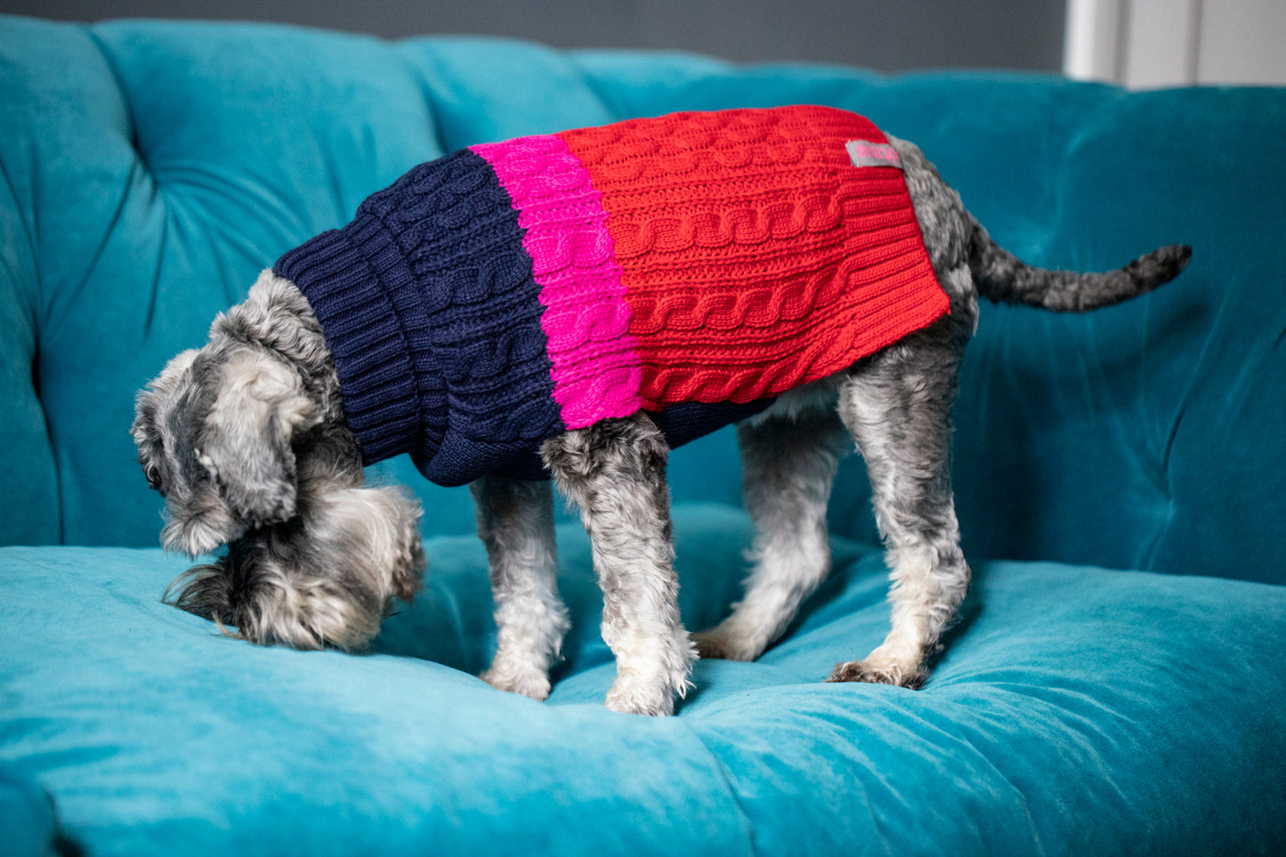 Sötnos Colour Block Sweater | Cosy Dog Jumper
