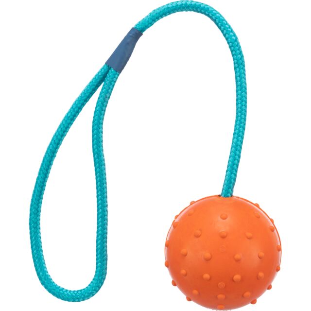 Orange textured ball on a blue rope against a white background