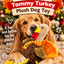 Tommy Turkey 🦃 Plush Christmas Dog Toy by Happy Pet
