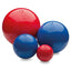 Set of red and blue dog balls with a visible brand logo on a white background