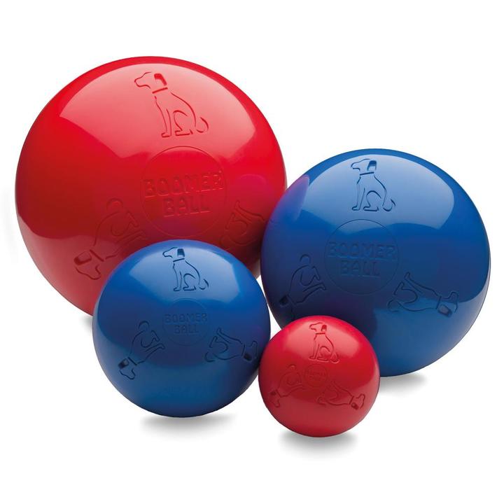 Set of red and blue dog balls with a visible brand logo on a white background